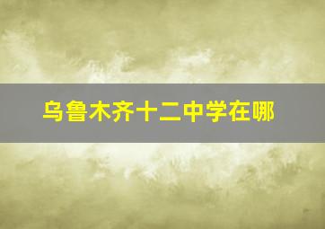 乌鲁木齐十二中学在哪