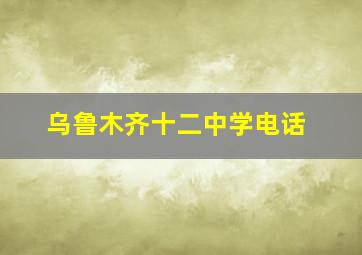 乌鲁木齐十二中学电话