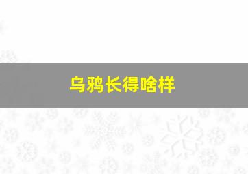 乌鸦长得啥样