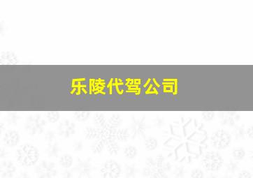 乐陵代驾公司