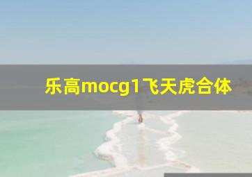 乐高mocg1飞天虎合体