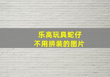 乐高玩具蛇仔不用拼装的图片