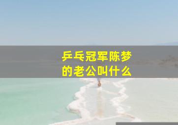 乒乓冠军陈梦的老公叫什么