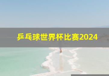 乒乓球世界杯比赛2024