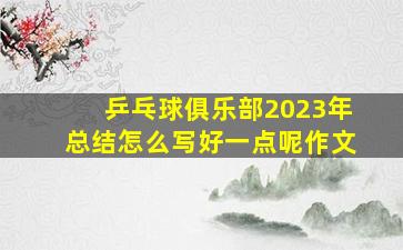 乒乓球俱乐部2023年总结怎么写好一点呢作文