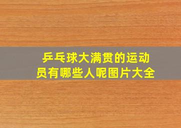 乒乓球大满贯的运动员有哪些人呢图片大全