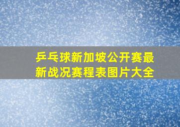 乒乓球新加坡公开赛最新战况赛程表图片大全