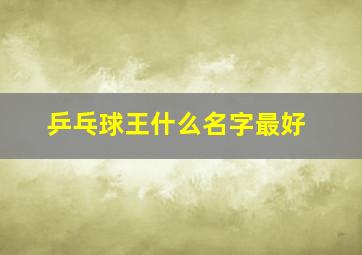 乒乓球王什么名字最好