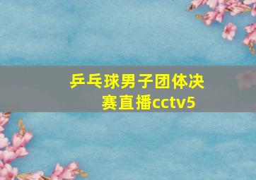 乒乓球男子团体决赛直播cctv5