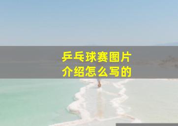 乒乓球赛图片介绍怎么写的