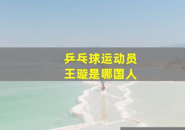 乒乓球运动员王璇是哪国人