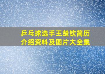 乒乓球选手王楚钦简历介绍资料及图片大全集