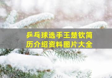 乒乓球选手王楚钦简历介绍资料图片大全