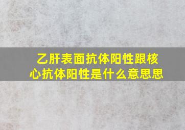 乙肝表面抗体阳性跟核心抗体阳性是什么意思思