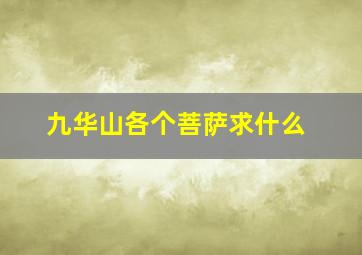 九华山各个菩萨求什么