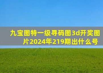 九宝图特一级寻码图3d开奖图片2024年219期出什么号