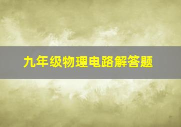 九年级物理电路解答题