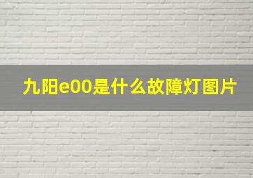 九阳e00是什么故障灯图片