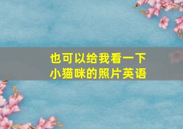 也可以给我看一下小猫咪的照片英语