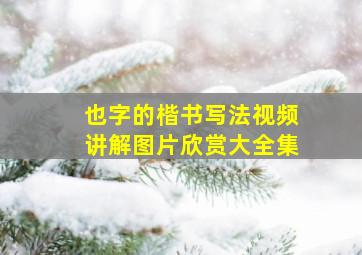 也字的楷书写法视频讲解图片欣赏大全集