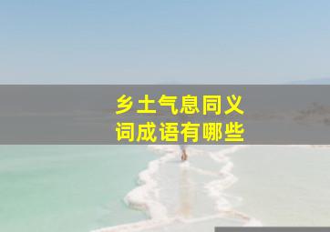 乡土气息同义词成语有哪些