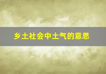 乡土社会中土气的意思