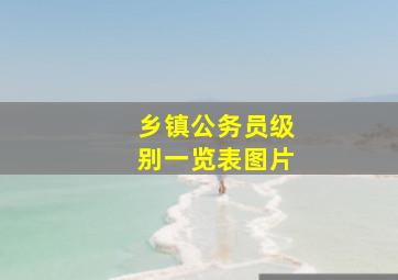 乡镇公务员级别一览表图片