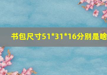 书包尺寸51*31*16分别是啥