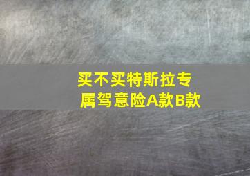 买不买特斯拉专属驾意险A款B款