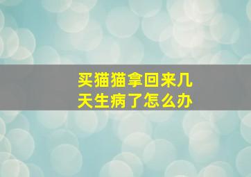 买猫猫拿回来几天生病了怎么办