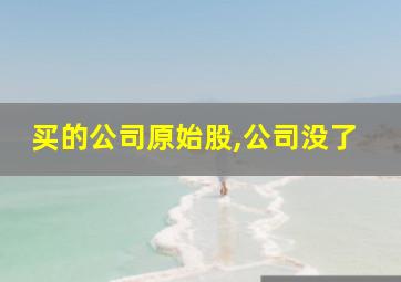 买的公司原始股,公司没了