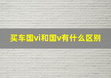 买车国vi和国v有什么区别