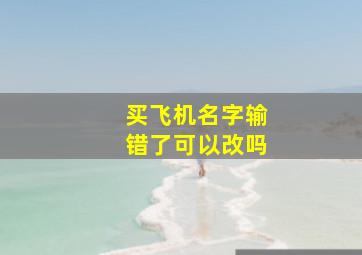 买飞机名字输错了可以改吗