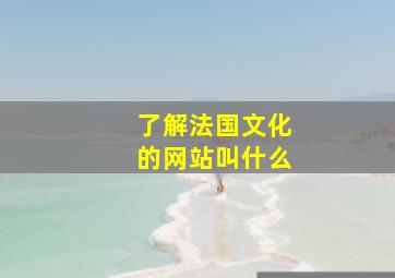 了解法国文化的网站叫什么