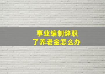 事业编制辞职了养老金怎么办