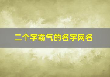 二个字霸气的名字网名