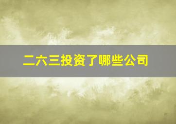 二六三投资了哪些公司