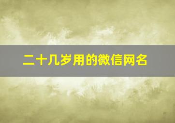 二十几岁用的微信网名