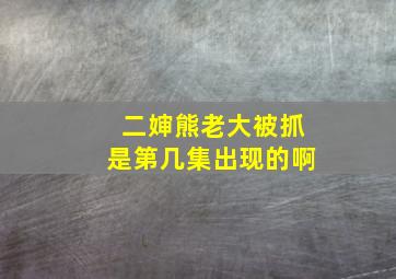 二婶熊老大被抓是第几集出现的啊