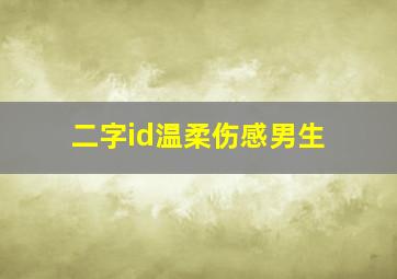 二字id温柔伤感男生