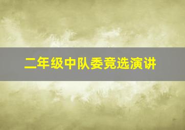 二年级中队委竞选演讲