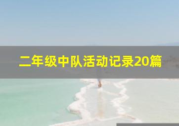 二年级中队活动记录20篇