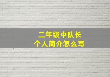 二年级中队长个人简介怎么写