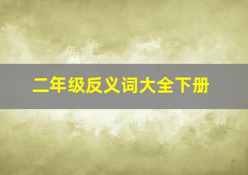 二年级反义词大全下册