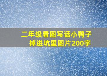 二年级看图写话小鸭子掉进坑里图片200字