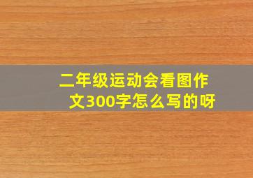 二年级运动会看图作文300字怎么写的呀