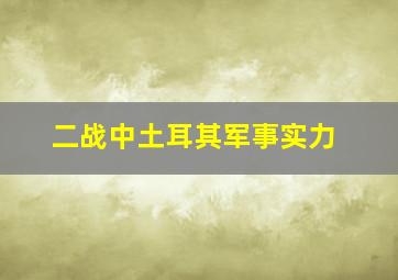 二战中土耳其军事实力