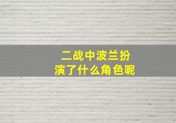 二战中波兰扮演了什么角色呢