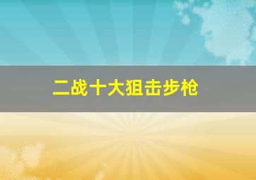 二战十大狙击步枪