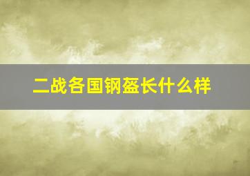 二战各国钢盔长什么样